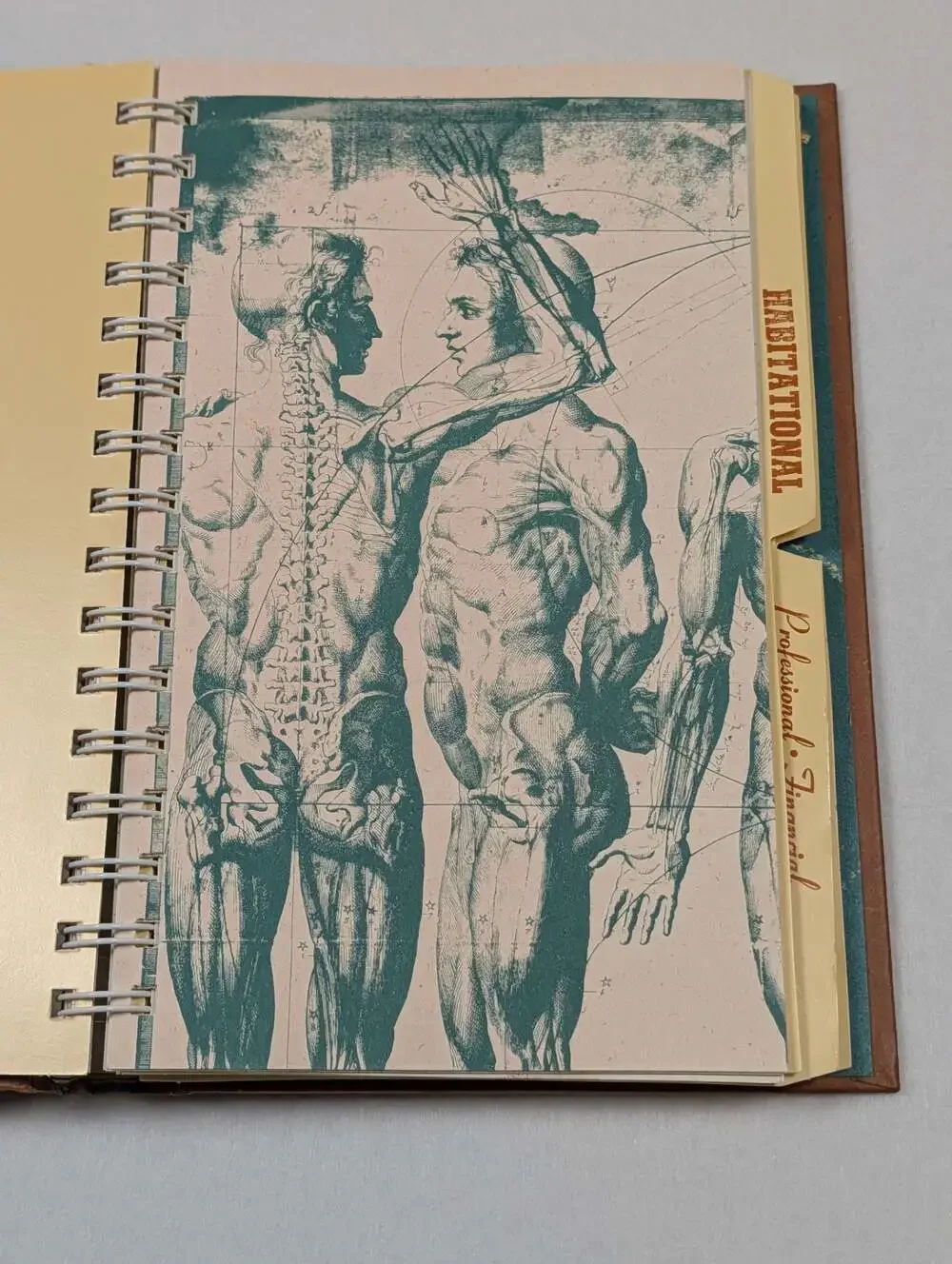 A Wish Book by Stacie Chaiken and Alexis Genya Spiral-Bound Journal